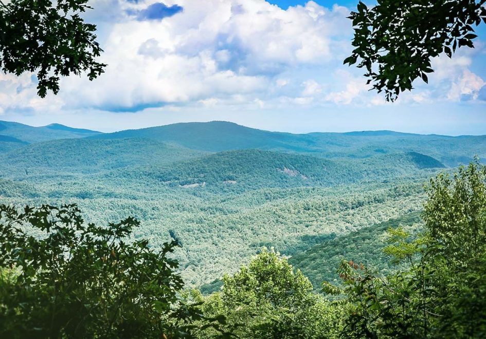 A mid-afternoon glimpse, still stunning, from the sunrise side of Ravenel Park.