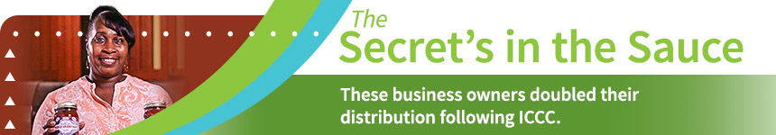 ICCC article - The Secret's in the Sauce