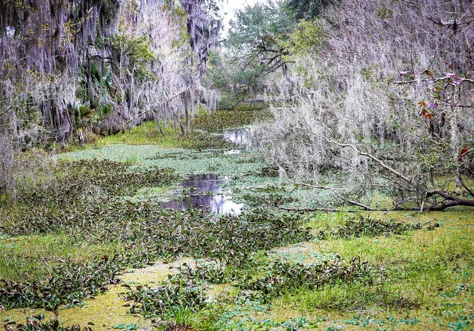 Mandalay Nature Trail
