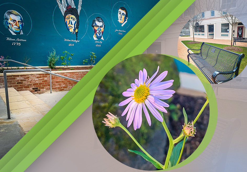 photos of Main Street