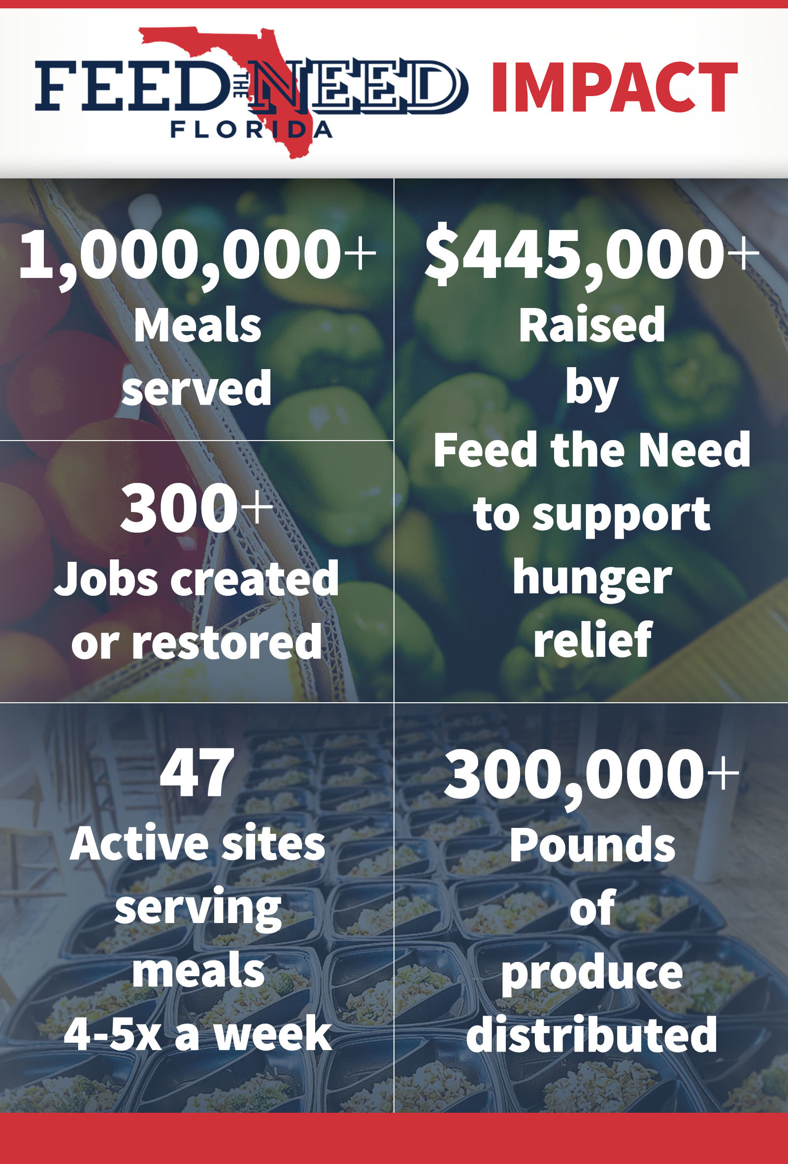 Feed the Need Impact