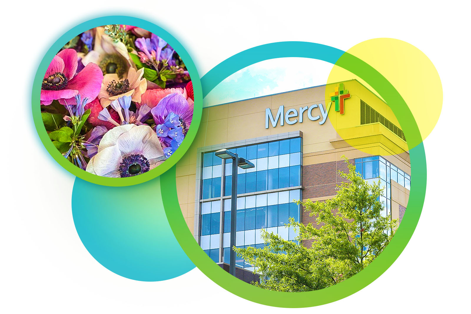 Flower Power: Where a Community’s Kindness is in Full Bloom