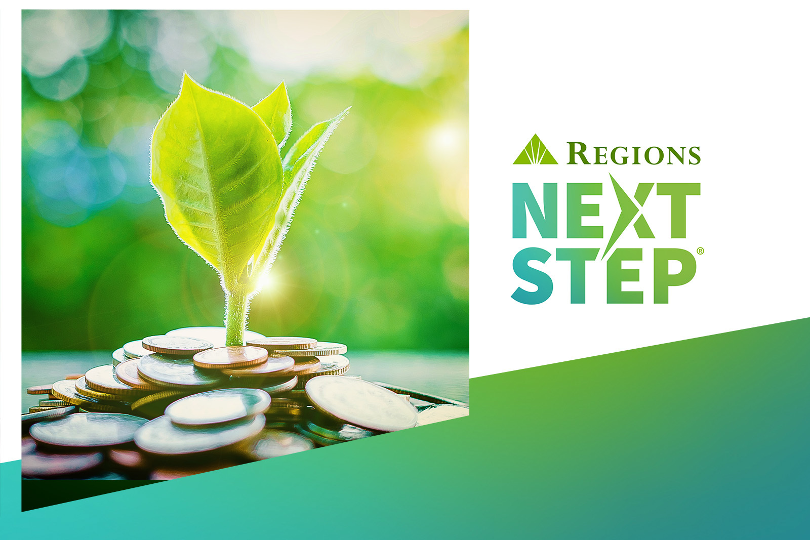 image of leaf growing on a pile of coins