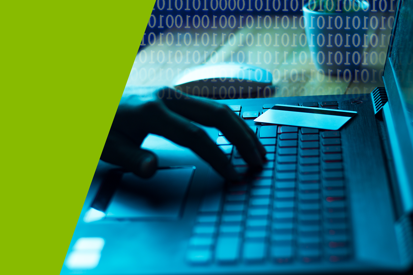 fight financial fraud