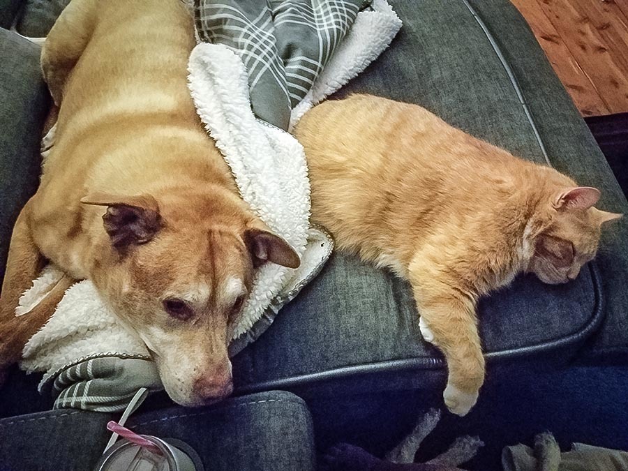 Nugget and Bobby Socks