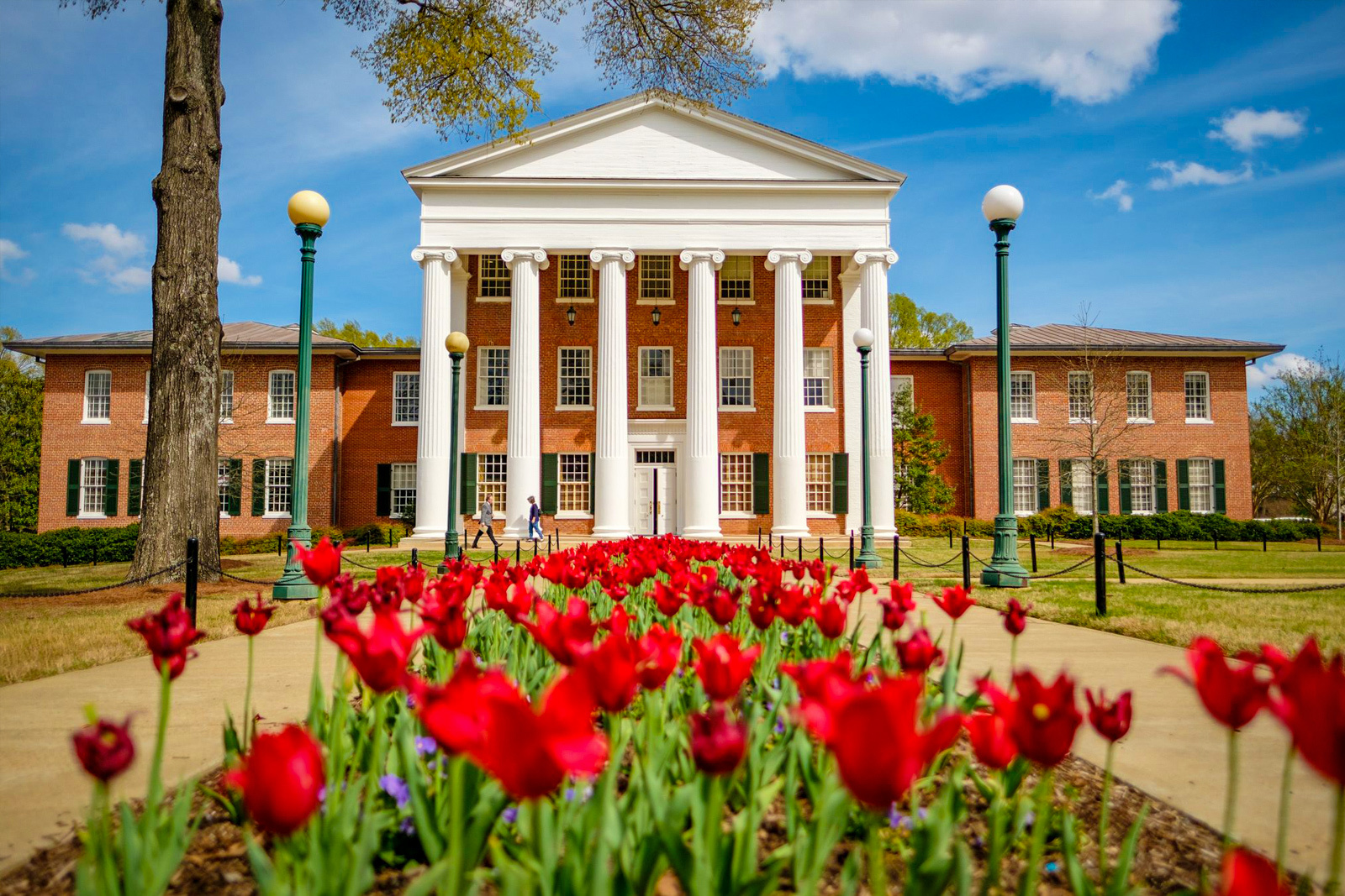 University Of Mississippi