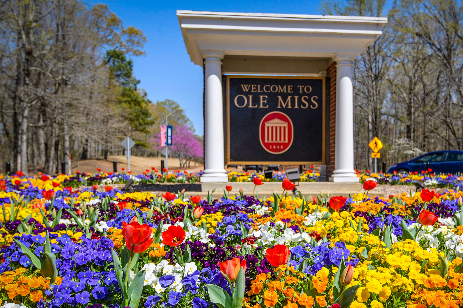 University Of Mississippi