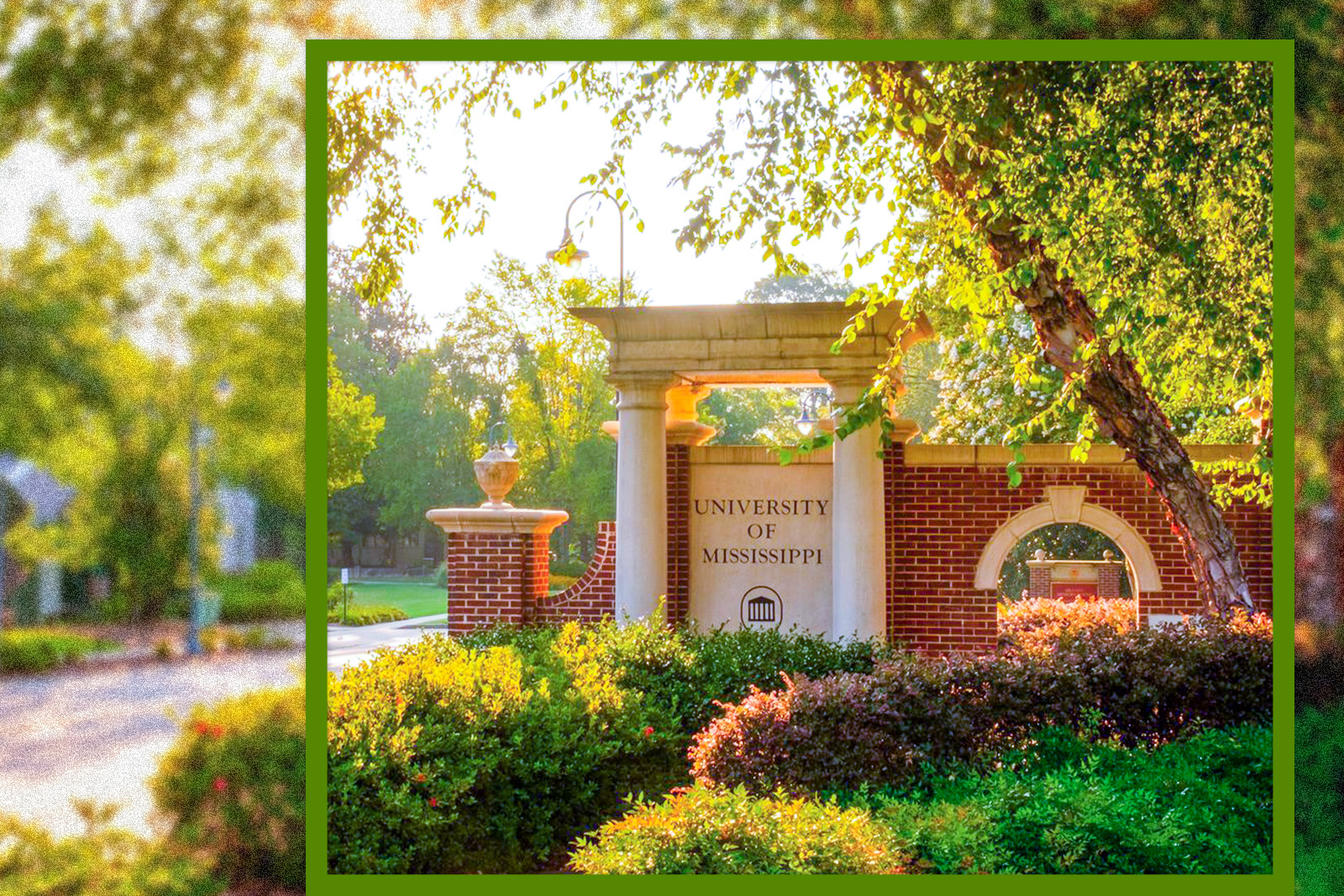 University Of Mississippi