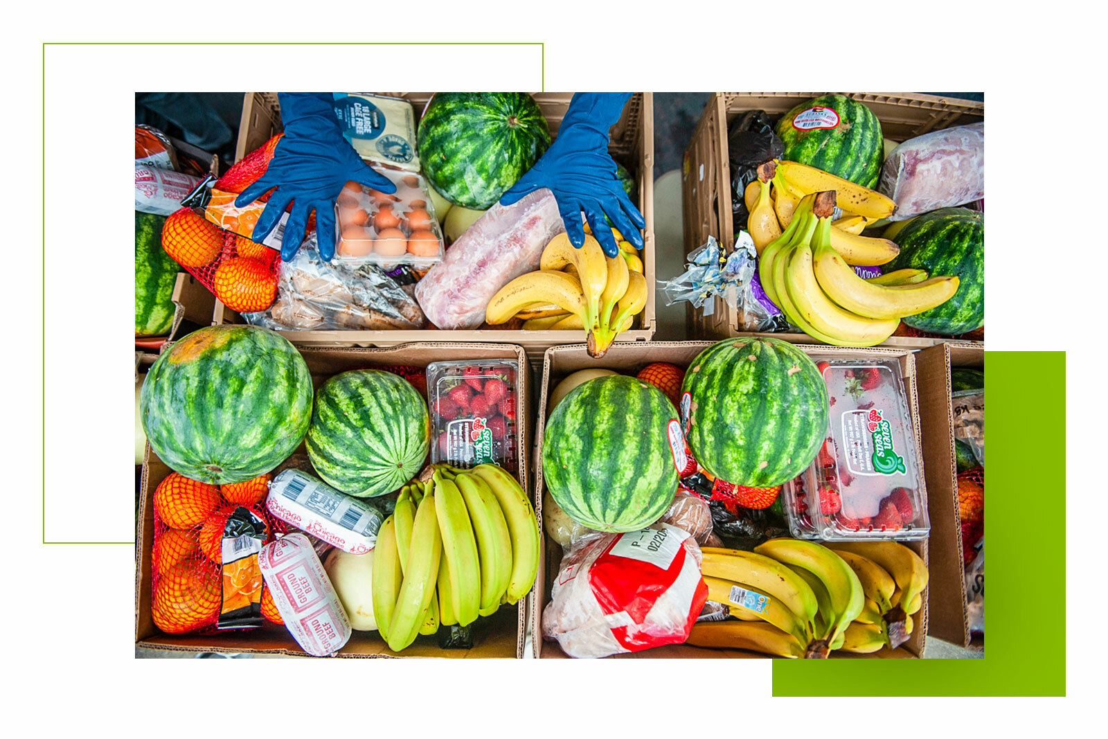 a close up of many different fruits and vegetables