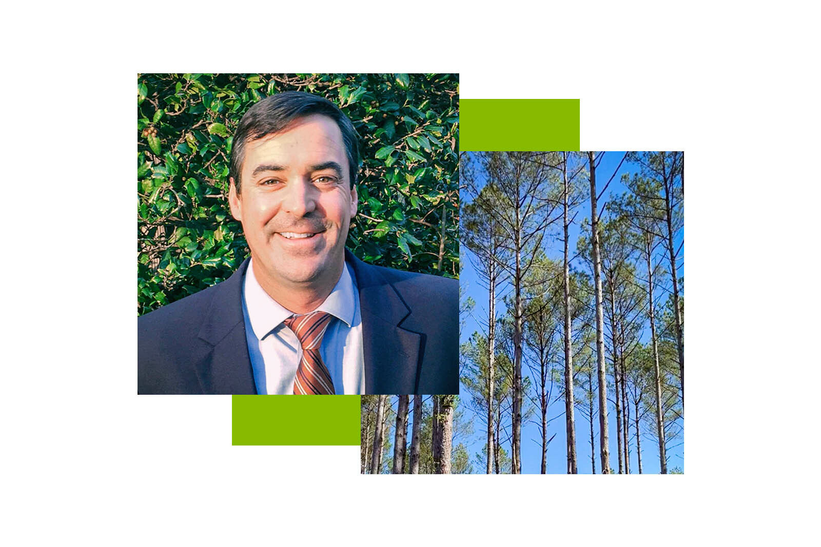 photos of Jim Bates and tall trees