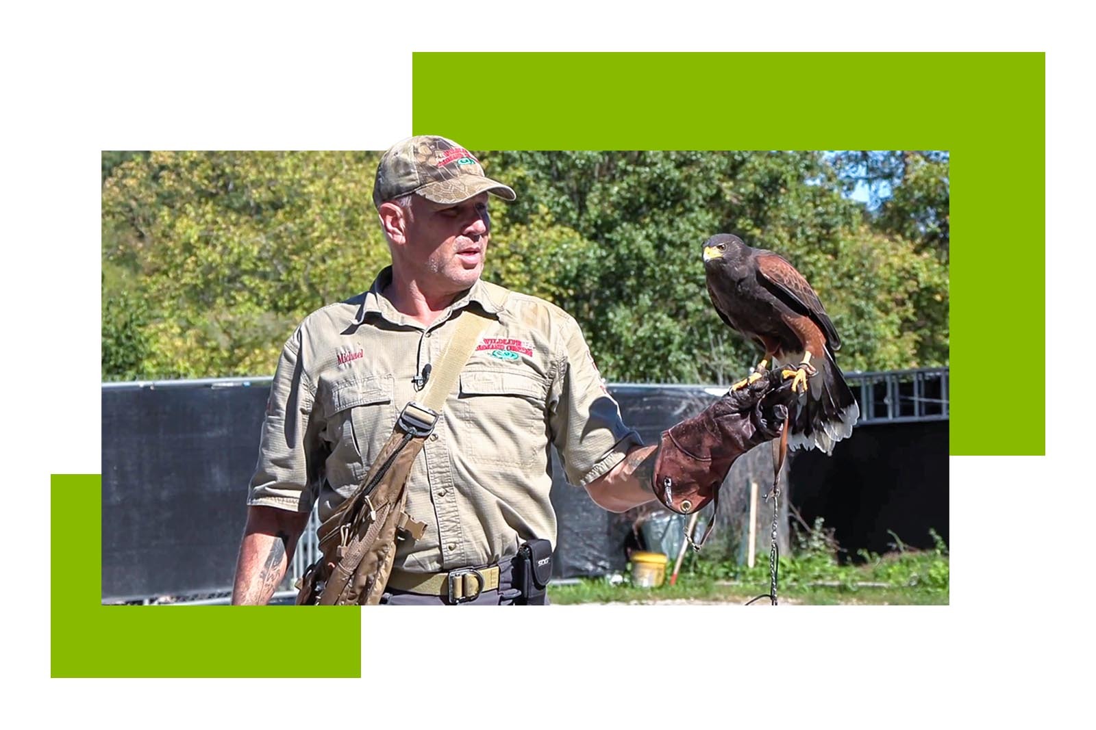Photo of Michael Beran with a hawk