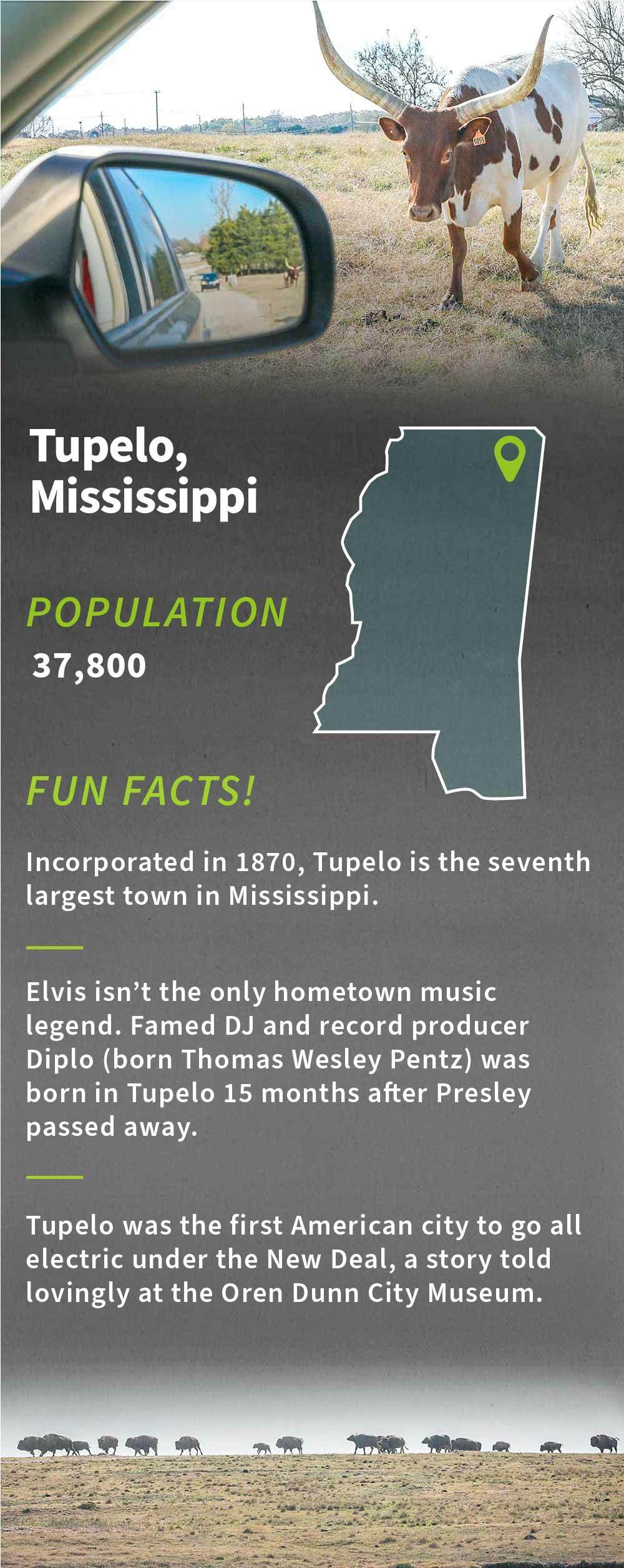 infographic, click for PDF