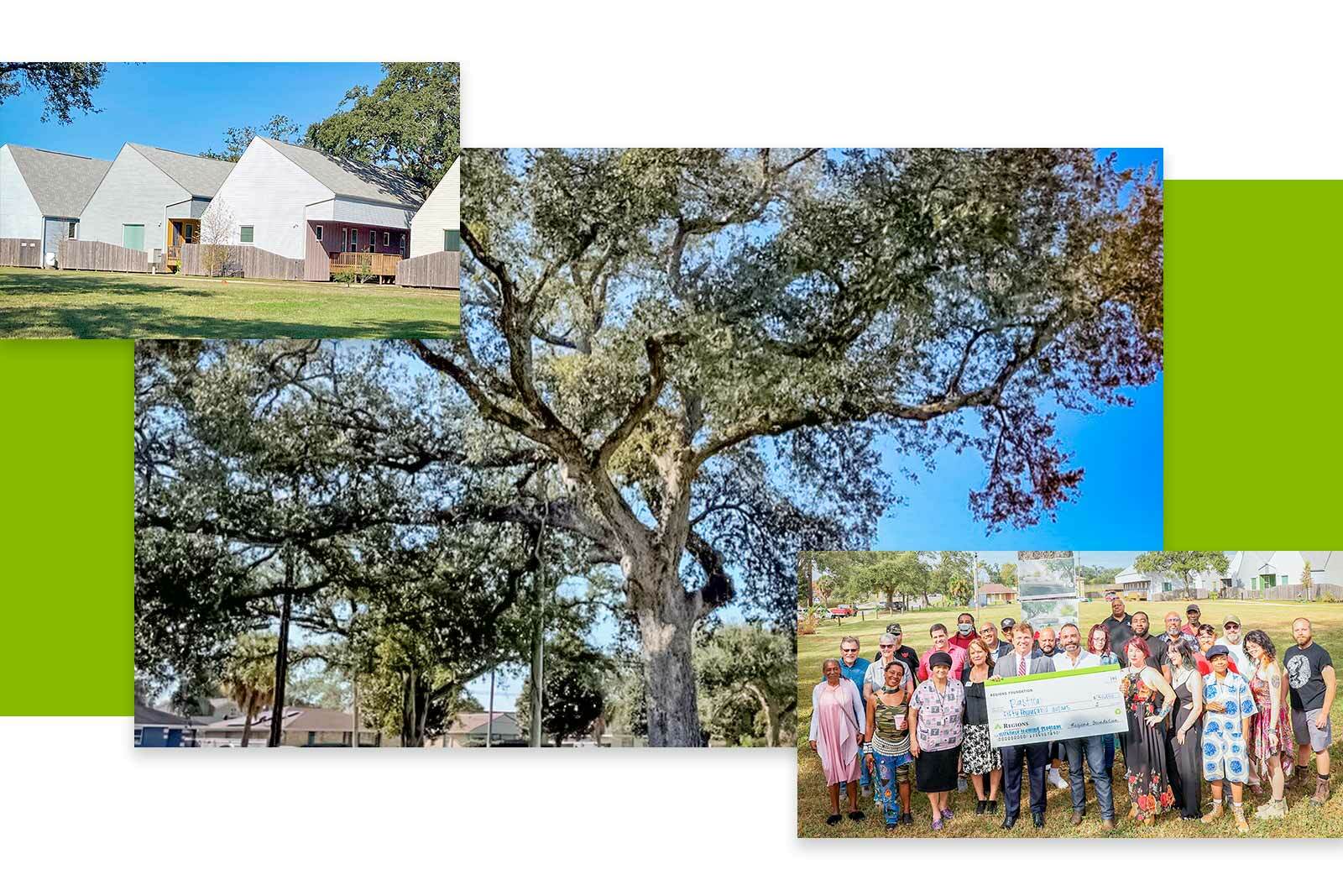 photos of, Live Oak, Bastion check presentation, and apartment homes,