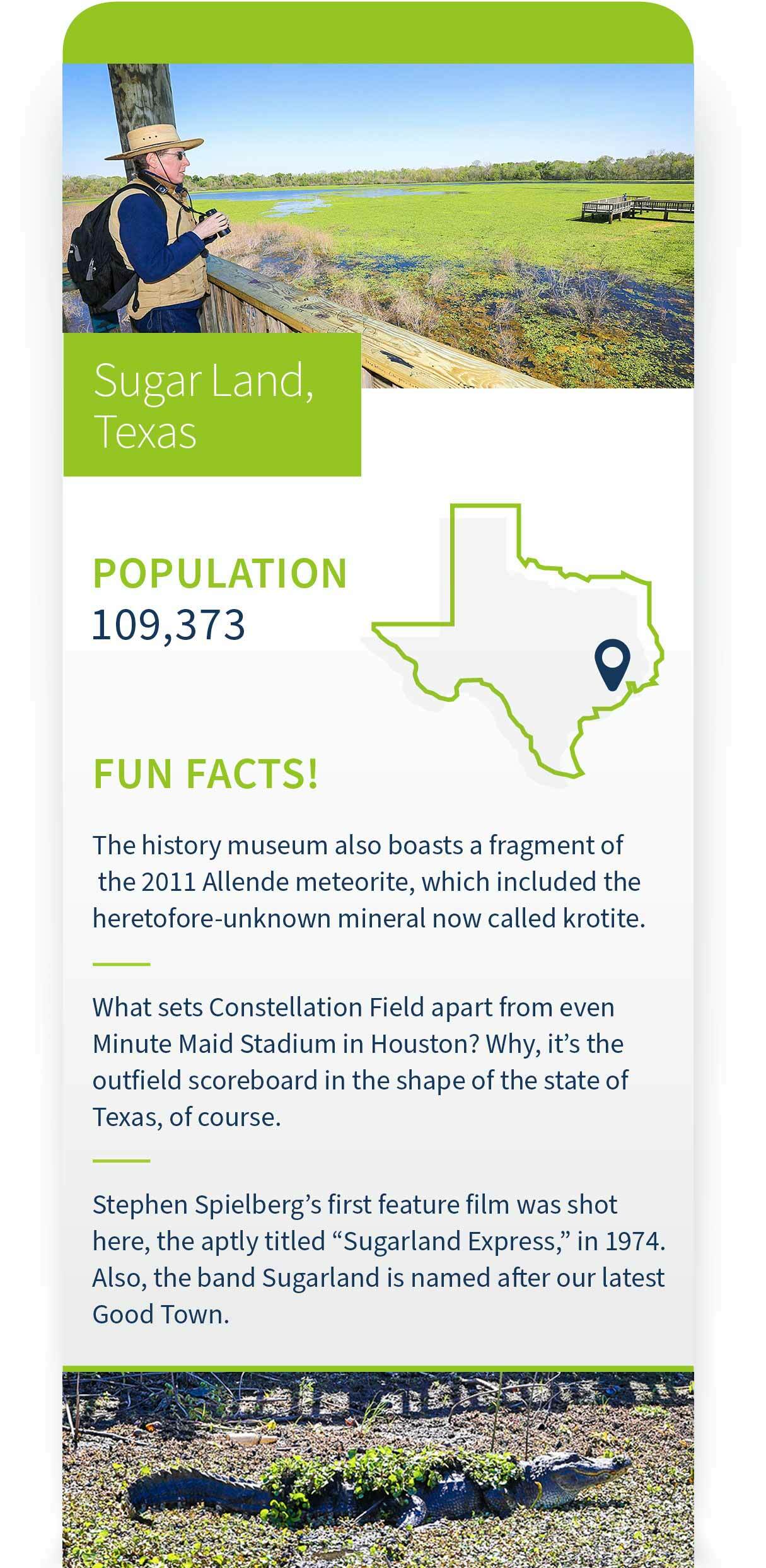 Infographic of fun facts about Sugar Land, Texas.