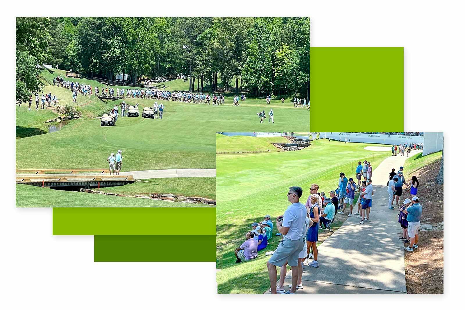 crowd watching the tournament