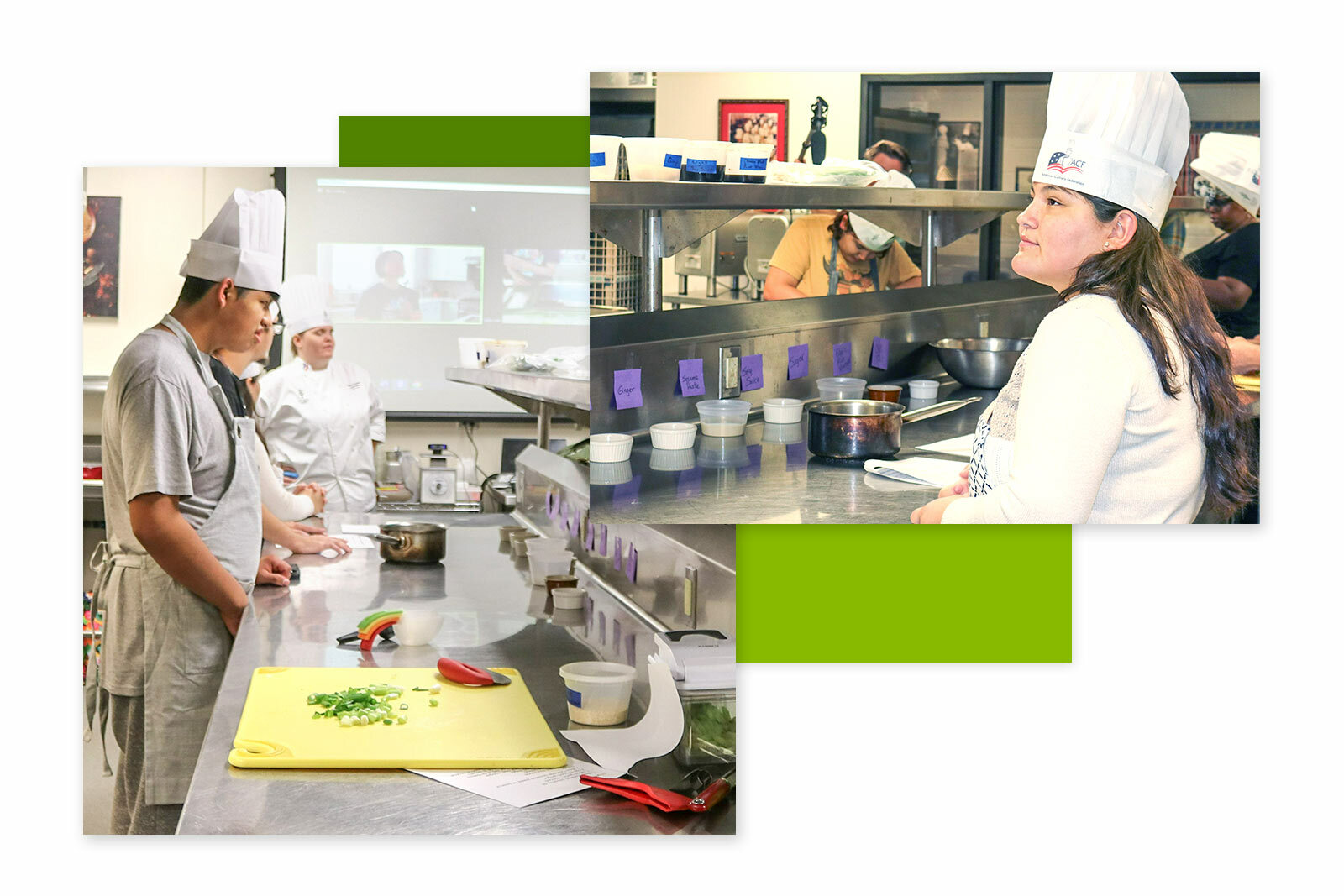 Young Woman and Nestor collage