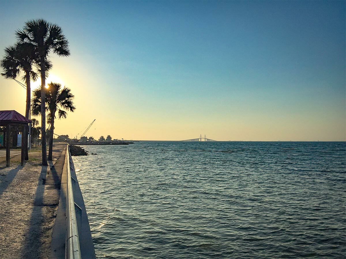 scenic shoreline with palm trees