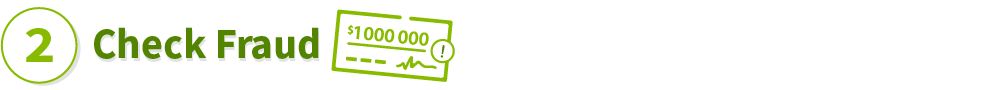 Check Fraud icon