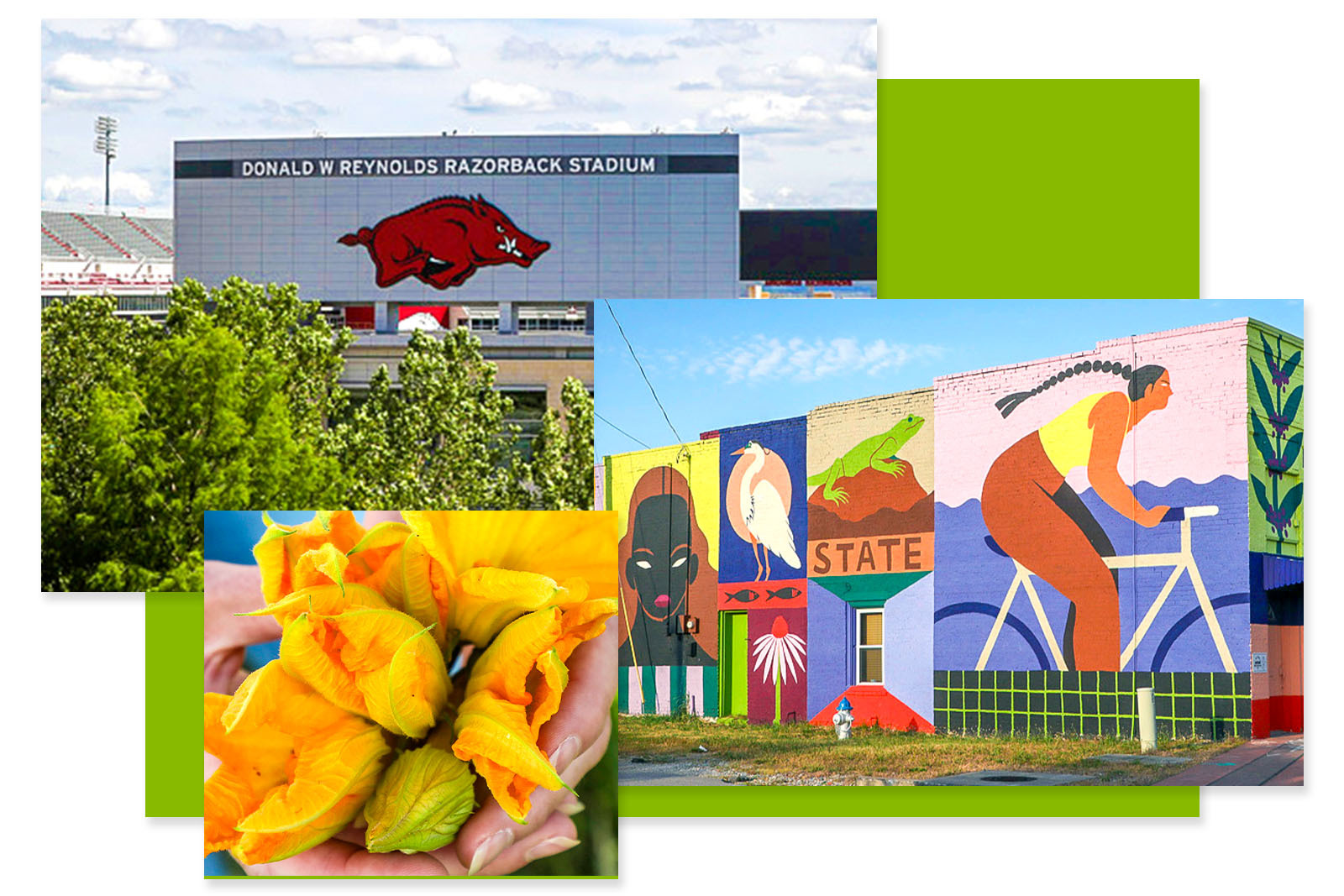 Photos of Razorback Stadium, a cycling mural, and a close...