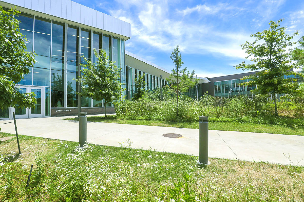 The entrance to the Fayetteville Public Library, where magic awaits visitors.