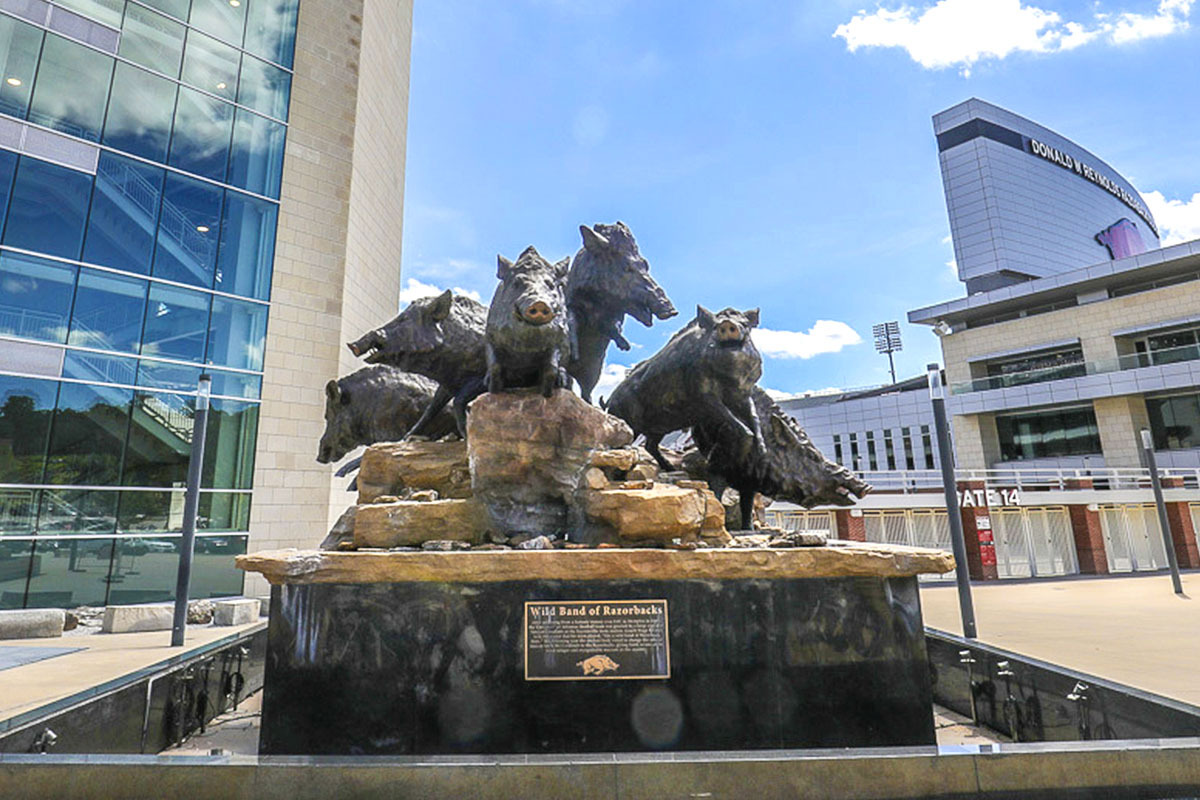 Outside Donald W. Reynolds Razorback Stadium, the hogs run wild in an iconic statue.