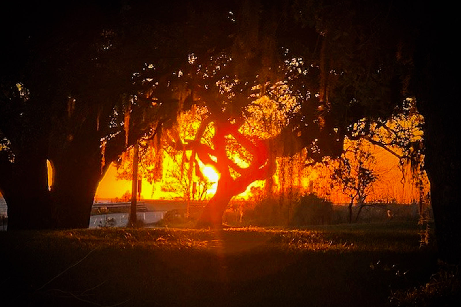 Sunset Picture by Donna Sue Medina