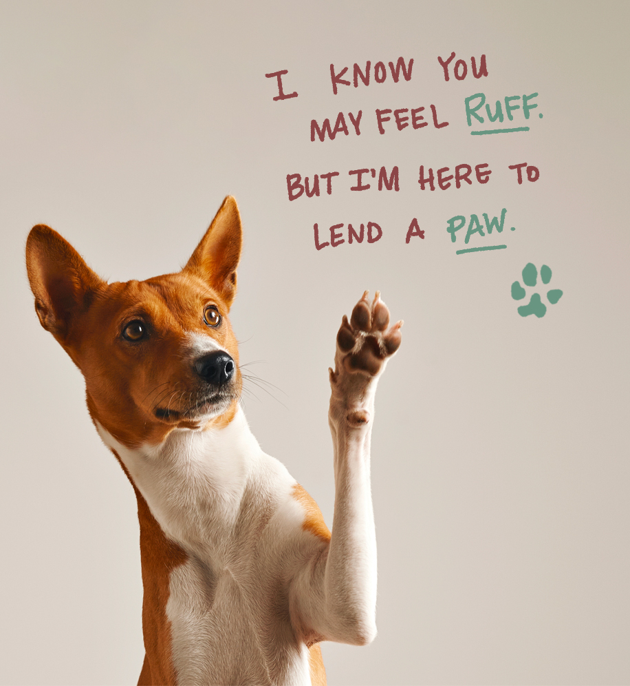 Dog with its paw up. Text: I know you may feel ruff. But I'm here to lend a paw.