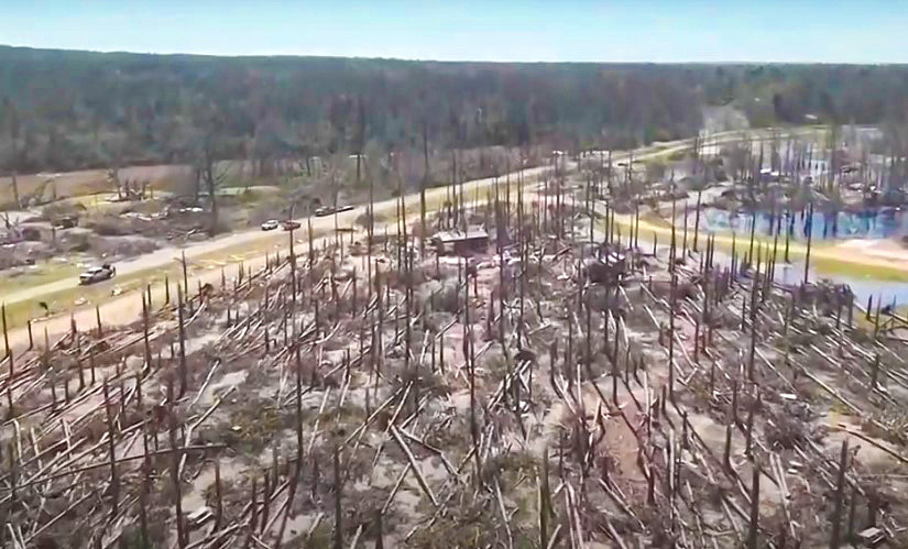 Drone photo of tornado damage. Tree line with all leaves and branches stripped away.