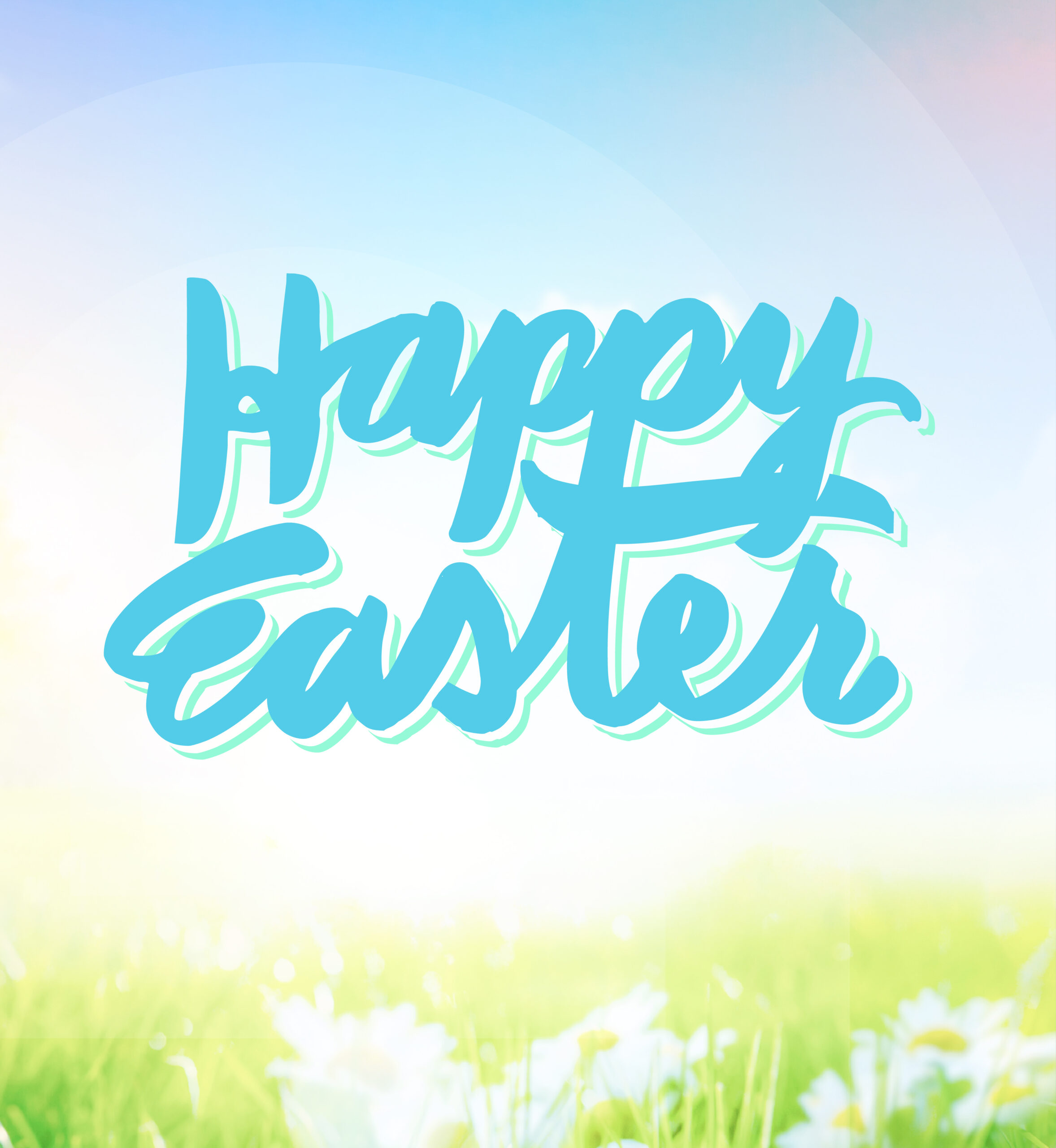 Bright sunshine illuminating grass and flowers. Text: Happy Easter.