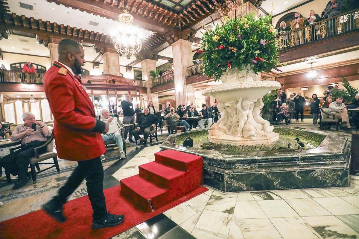 Duck master Kenon Walker is all smiles as he proudly watches his flock enjoy their dip inside the fountain of the Peabody Hotel.