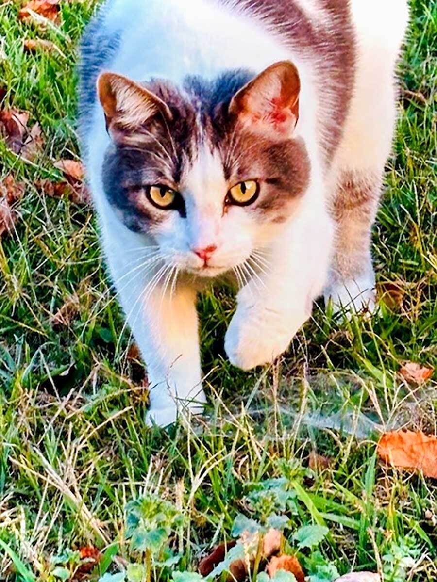Seen in her natural habitat, Eleanor is a natural-born land surveyor with special expertise in complex terrain known as the “backyard.”