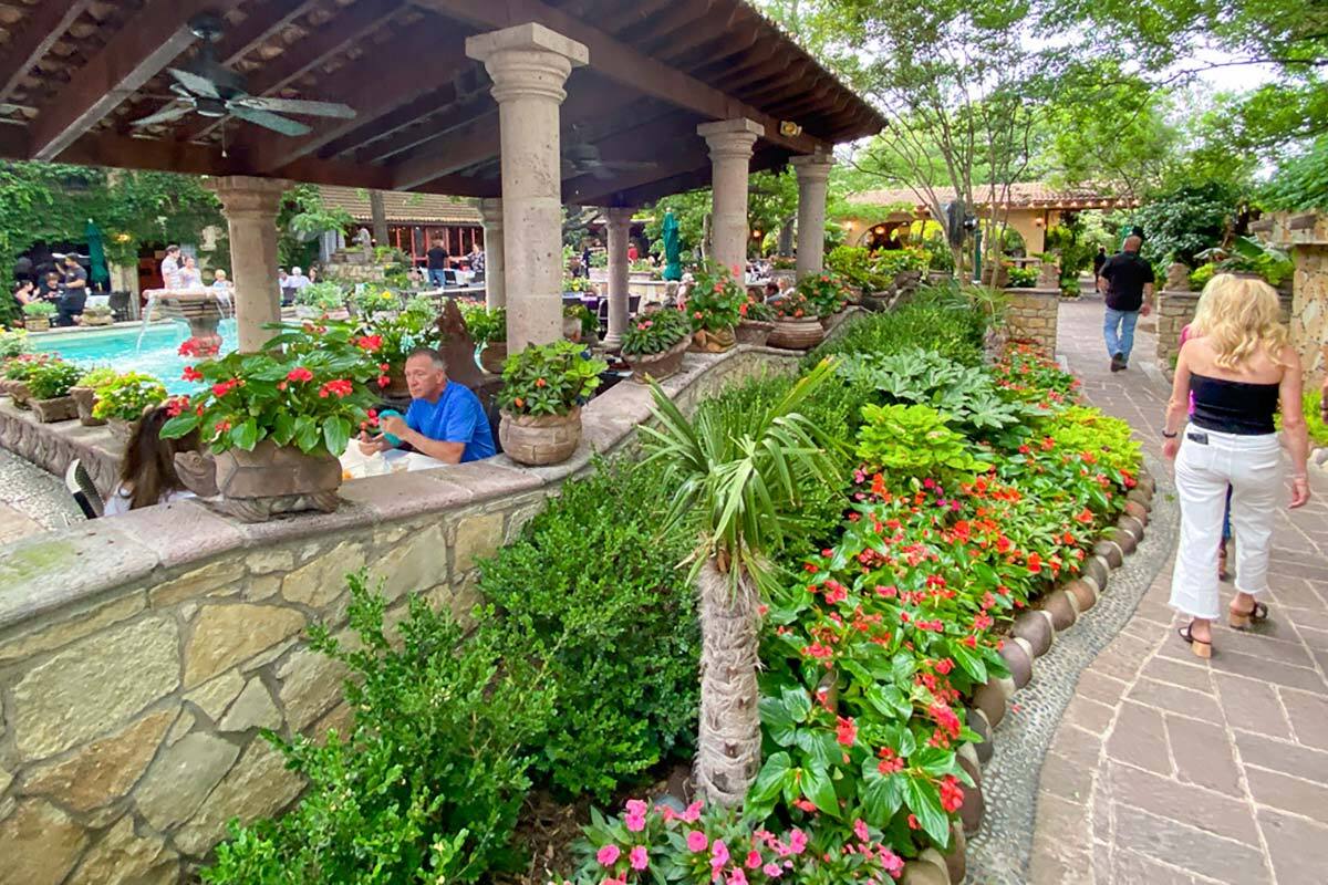 Tropical gardens, water features and a stone path lead customers at Joe T. Garcia's to dinner in the courtyard.