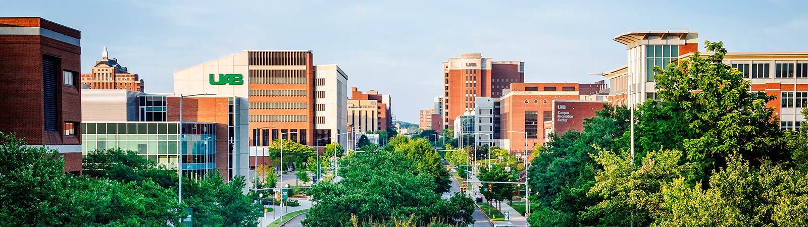 Birgd's eye view of the University of Alabama at Birmingham campus.