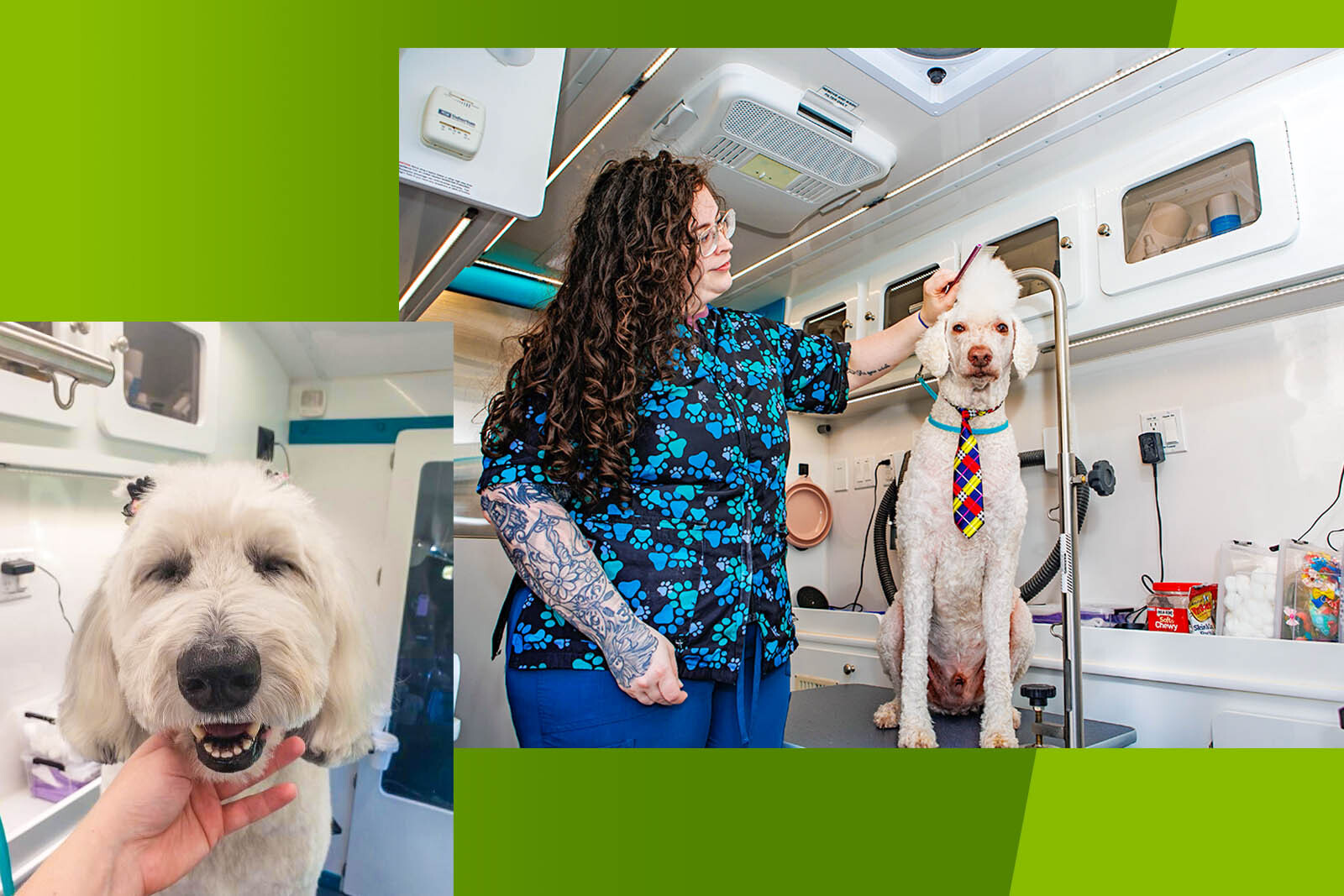 Mobile dog grooming business called Honey I’m Combed.