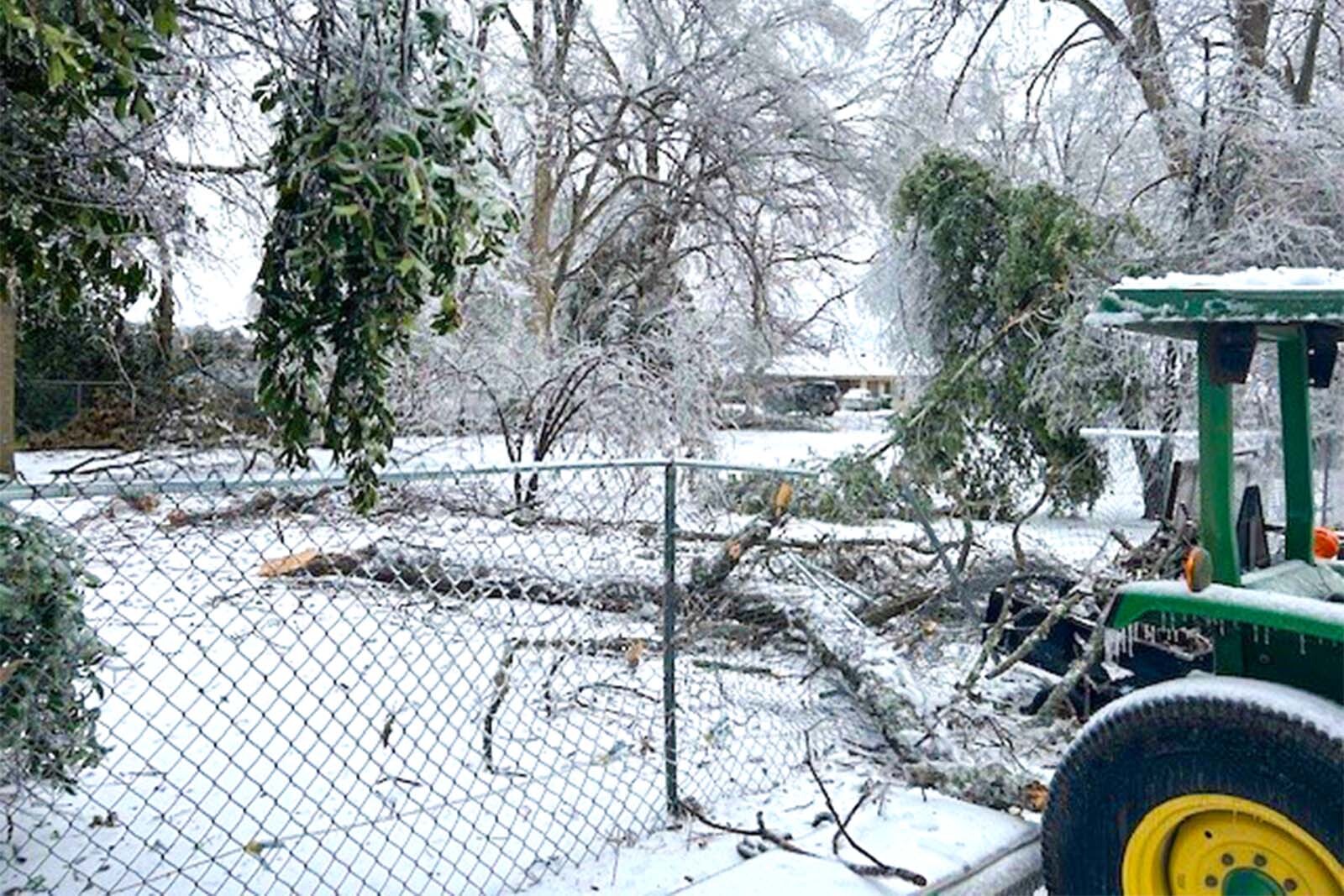 Residential home backyard damage from Winter Storm Fern.