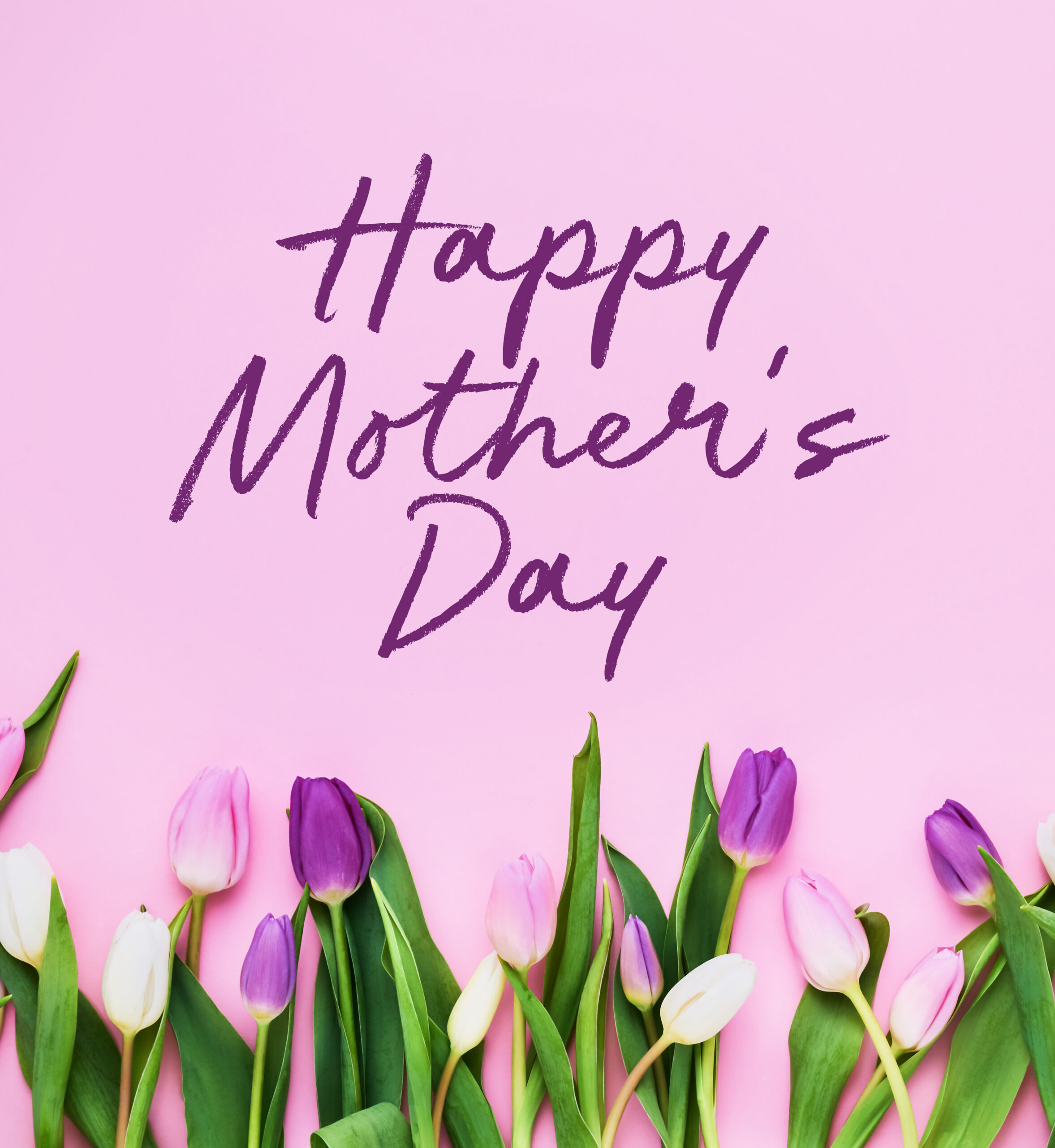 Tulips on solid background. Text: Happy Mother's Day.