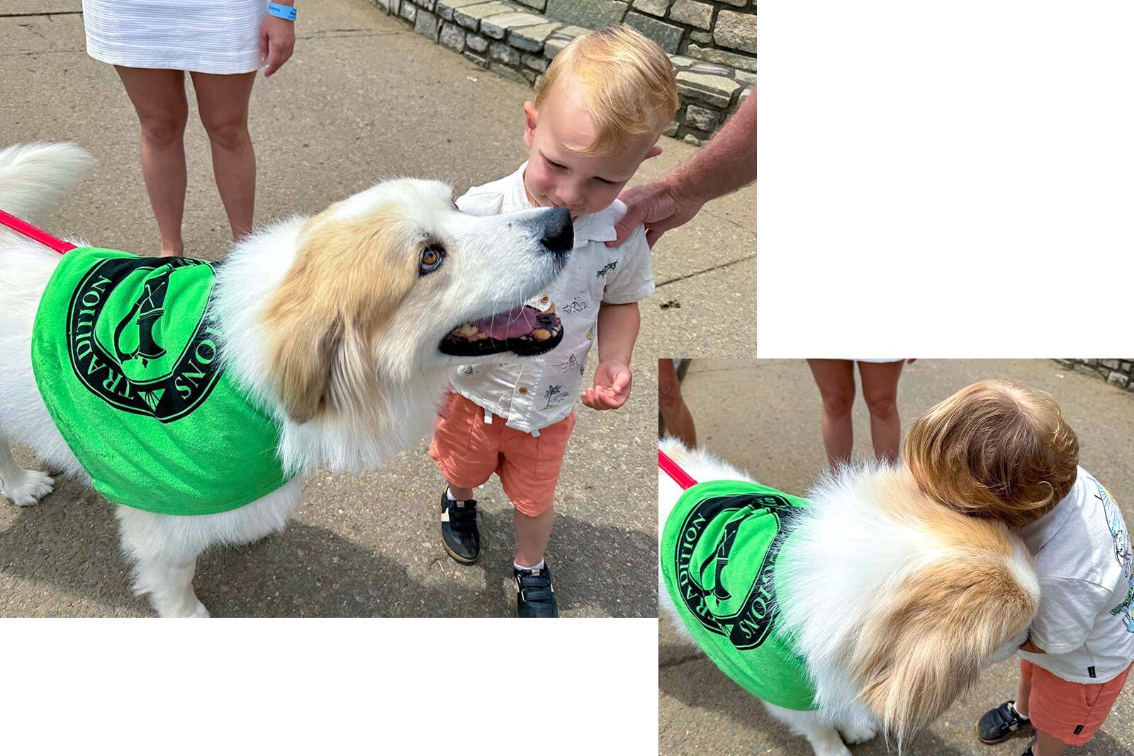 Golden dog, Scotty with Regions Tradition shirt and little boy.