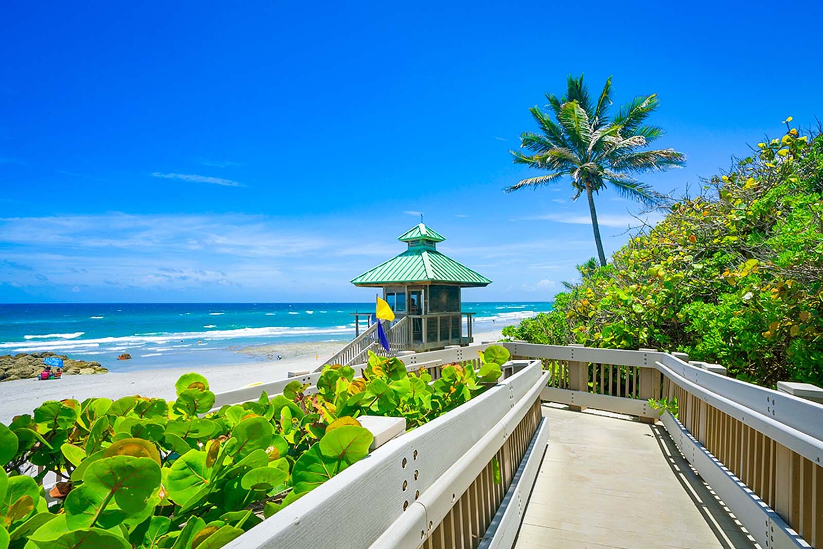 Boardwalk leading to down to sandy beach with palm tree...