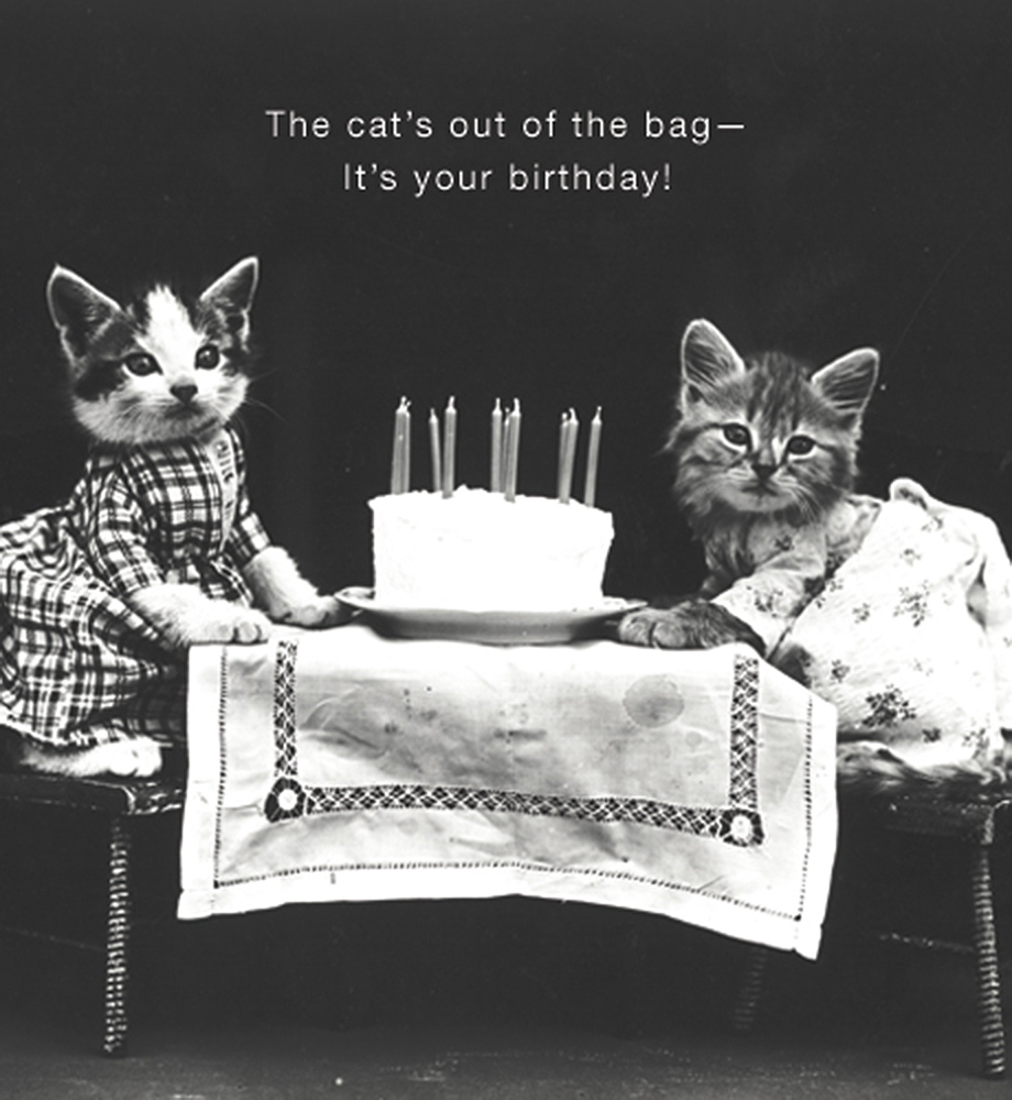 Two kittens sitting at table with birthday cake. Text: The cat's out of the bag - it's your birthday.