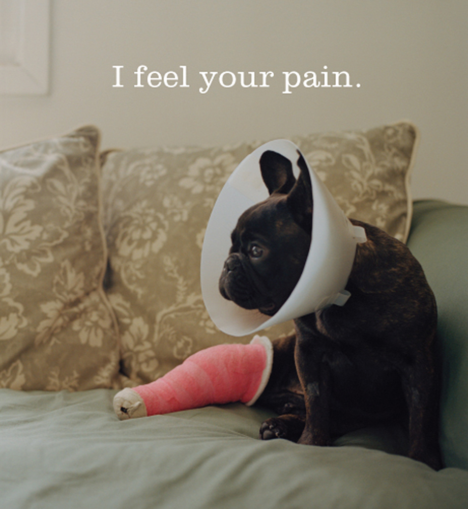 Dog wearing cone with leg in cast. Text: I feel your pain.