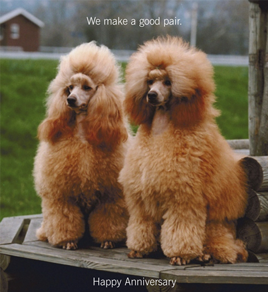 Two matching poodles sitting next to each other. Text: We make a good pair. Happy Anniversary.