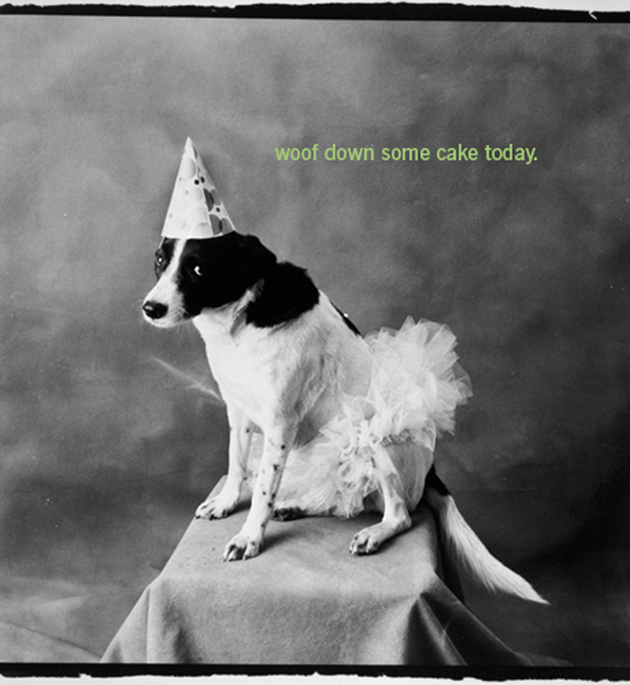 Dog wearing party hat and tutu. Text: Woof down some cake today.