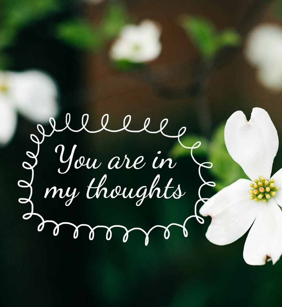 Close up of dogwood plant flowers. Text: You are in my thoughts.