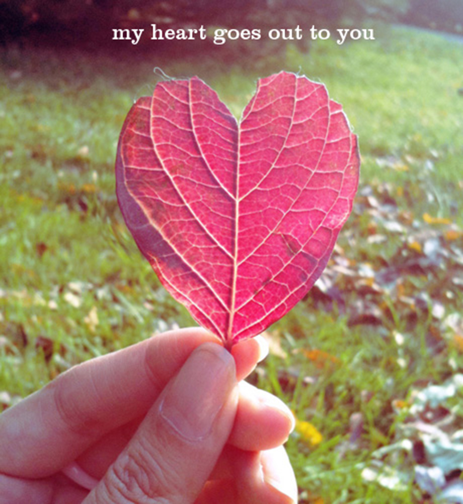 Heart shaped leaf. Text: My heart goes out to you.