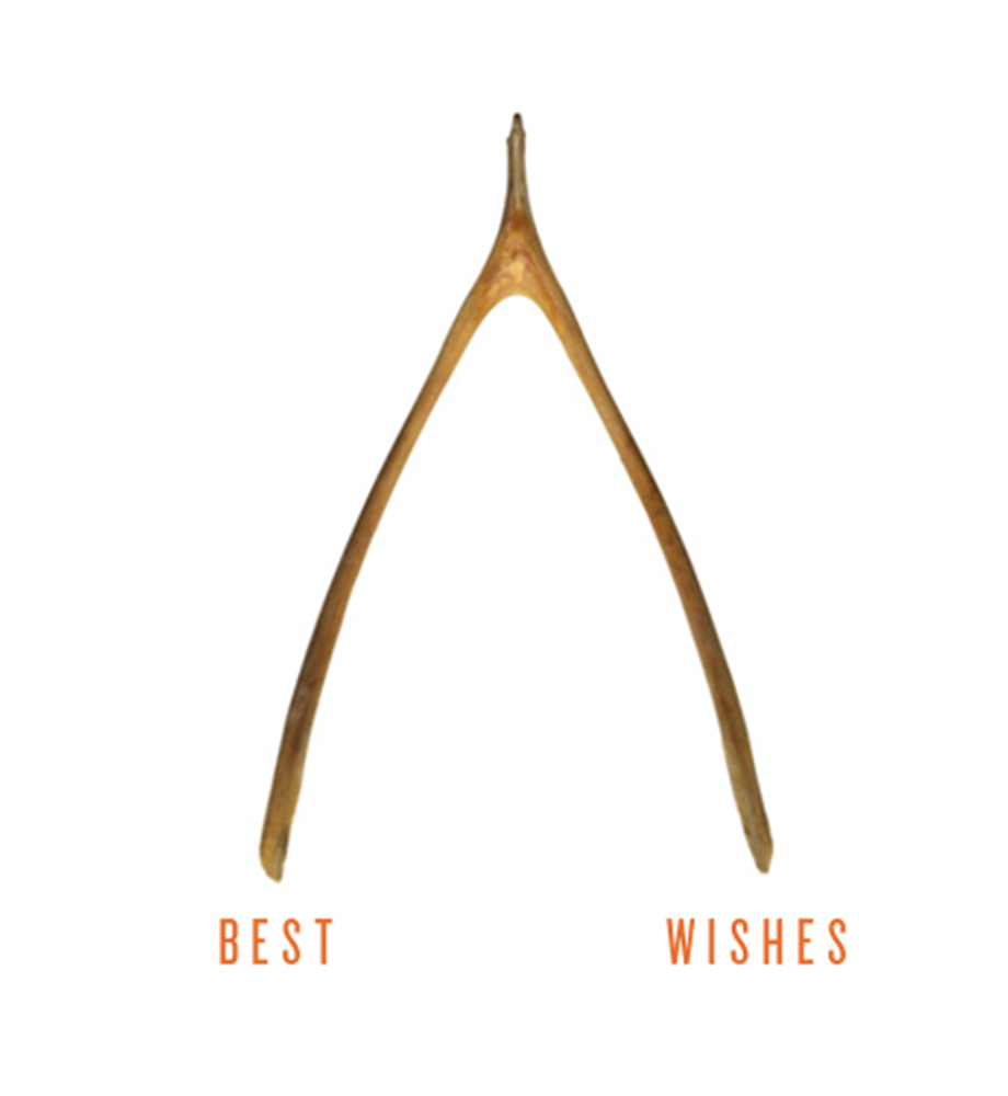 Wishbone. Text: Best wishes.
