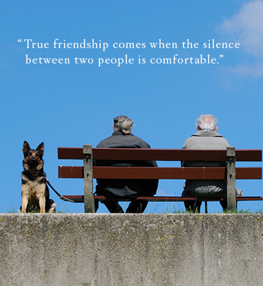Two older men sitting on bench with dog sitting next to them. Text: True friendship comes when the silence between two people is comfortable".