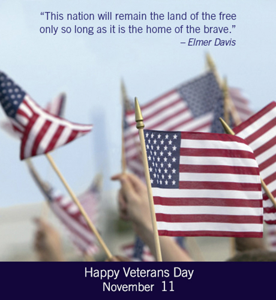 People waving American flags. Text: "This nation will remain the land of the free only so long as it is the home of the brave." -Elmer Davis. Happy Veterans day.